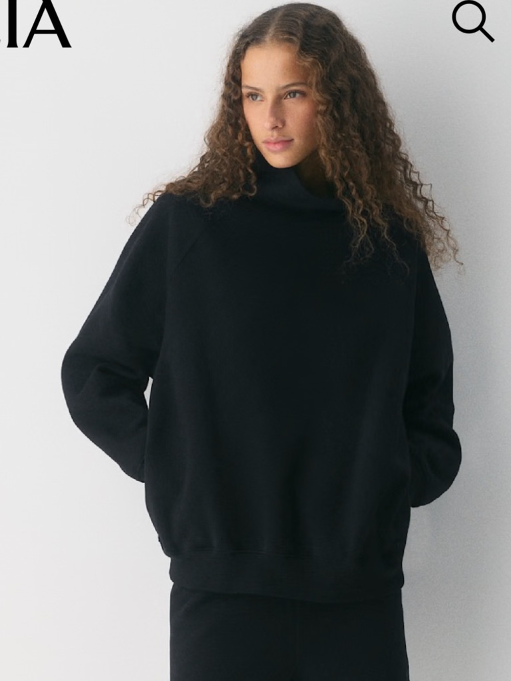 Aritzia Black Turtleneck Sweatshirt